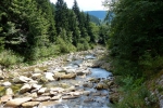 River Labe