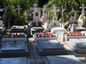 Русское кладбище Сен-Женевьев-де-Буа (индивидуальная)